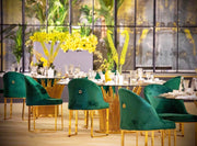 DAPHIN Velvet Chair | Green velvet Dinning Chair
