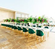 DAPHIN Velvet Chair | Green velvet Dinning Chair