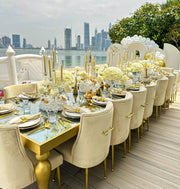 Beatrix Knop Handel Beige | Velvet Fabric Dinning Chair with Golden Legs