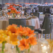 Beatrix Knop Handel Grey | Grey Velvet Fabric Upholstery Dinning Chair