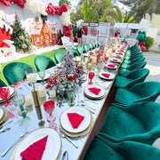 DAPHIN Velvet Chair | Green velvet Dinning Chair