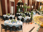 Sophia Acrylic Black Chair | Modern Acrylic Dinning Chair