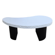 Modern wooden Stone coffee table with black legs on a white background