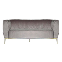 Gray velvet sofa with gold legs on a white background