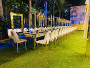 Lion Head Knocker Gold Beige | Luxury Back Lion Hook Dinning Chair