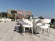 Destiny 23 | Modern Curve Dinning Chair | Luxury Back Curve Dinning Chair