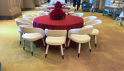 Destiny 23 | Modern Curve Dinning Chair | Luxury Back Curve Dinning Chair