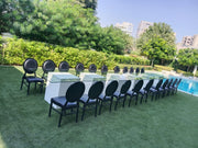 Dior Louis Resin Black Vinyl Back | Black Dinning Chair