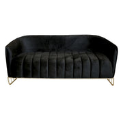 Black velvet sofa with gold legs on a white background