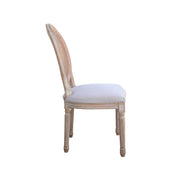 Antique Painting Rattan Wood Chair | Elegant Modern Rattan Dinning Chair