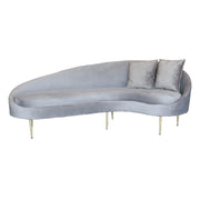 Modern gray sofa with gold legs on a white background
