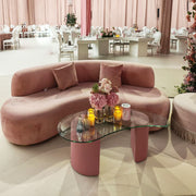 Pink curved sofa with a glass coffee table in a stylish room.