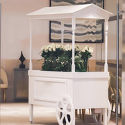 White Cart with Canopy