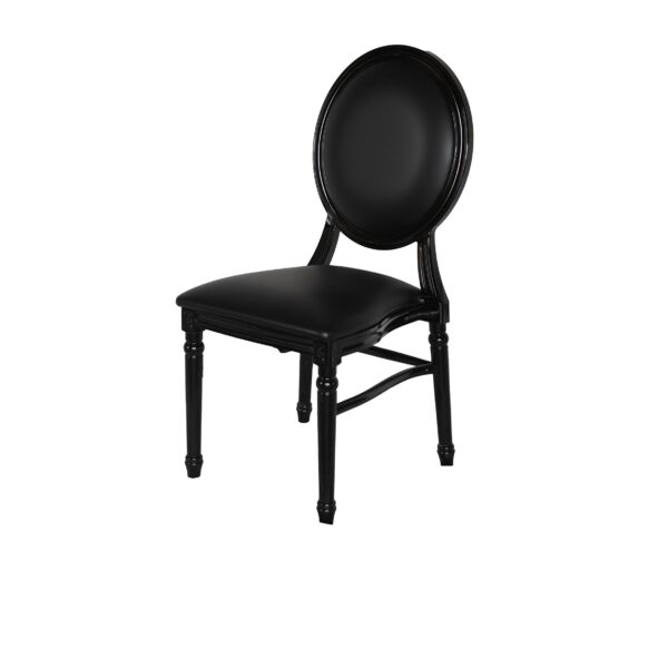 Dior Louis Resin Black Vinyl Back
